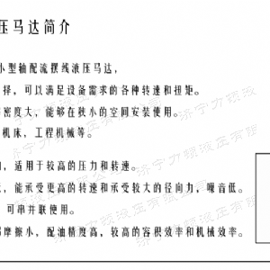 米兰（中国）侧油口系列马达