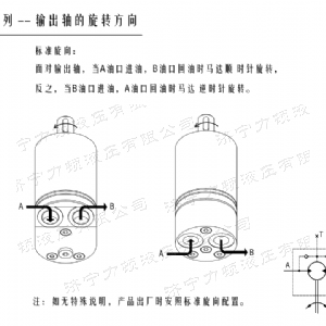 米兰（中国）后油口系列马达