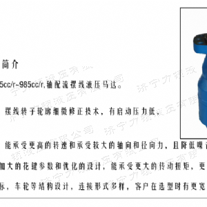BMH系列并列油口米兰网页版马达