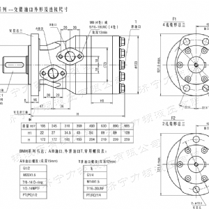BMH系列交错油口米兰网页版马达